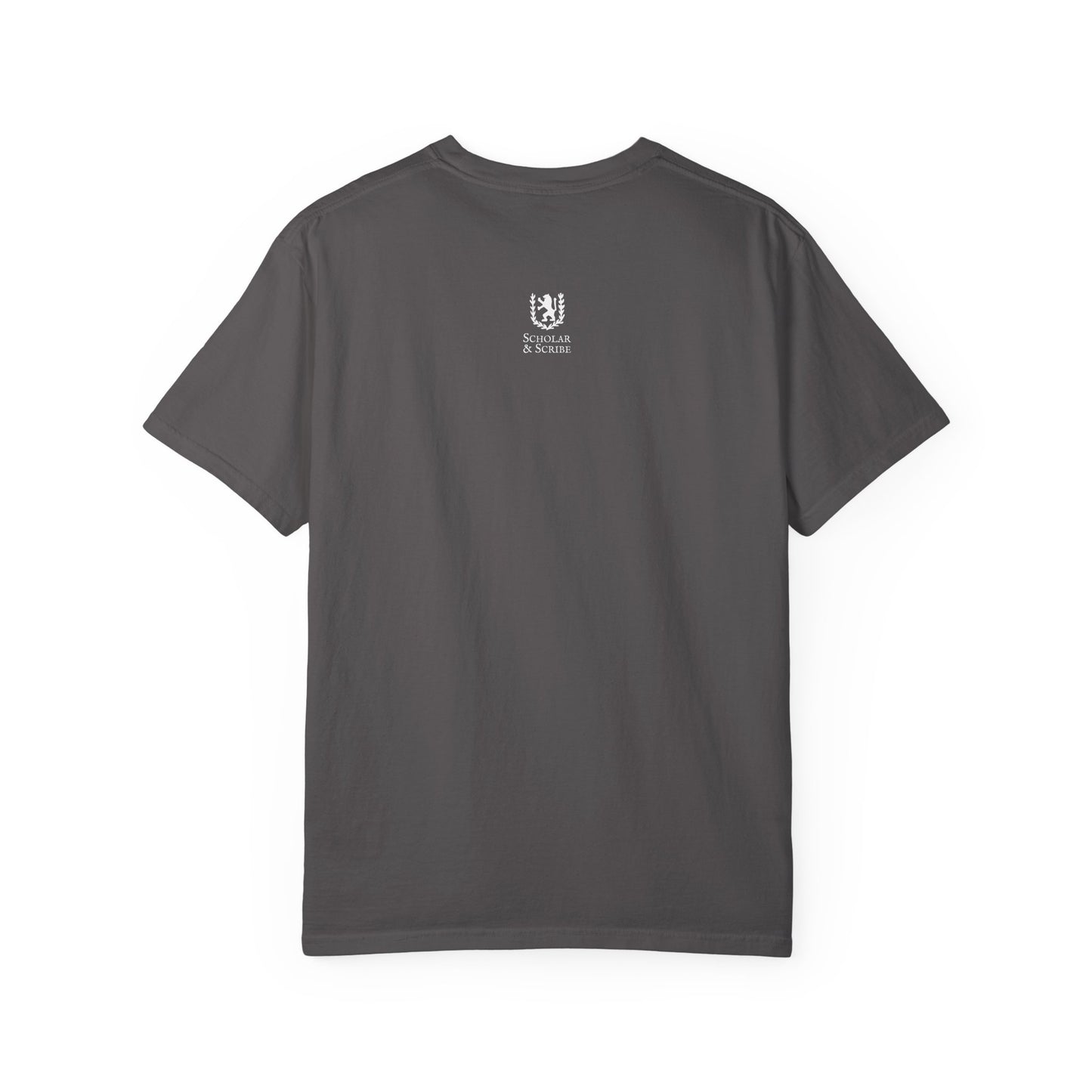 'Take a Look It's in a Book' - Perfect Gift for Book Lovers - Comfort Colors Unisex Garment-Dyed T-Shirt
