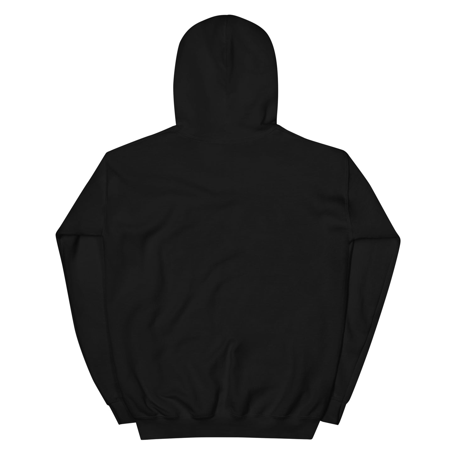 Embroidered "I put down my book to be here" Unisex Hoodie