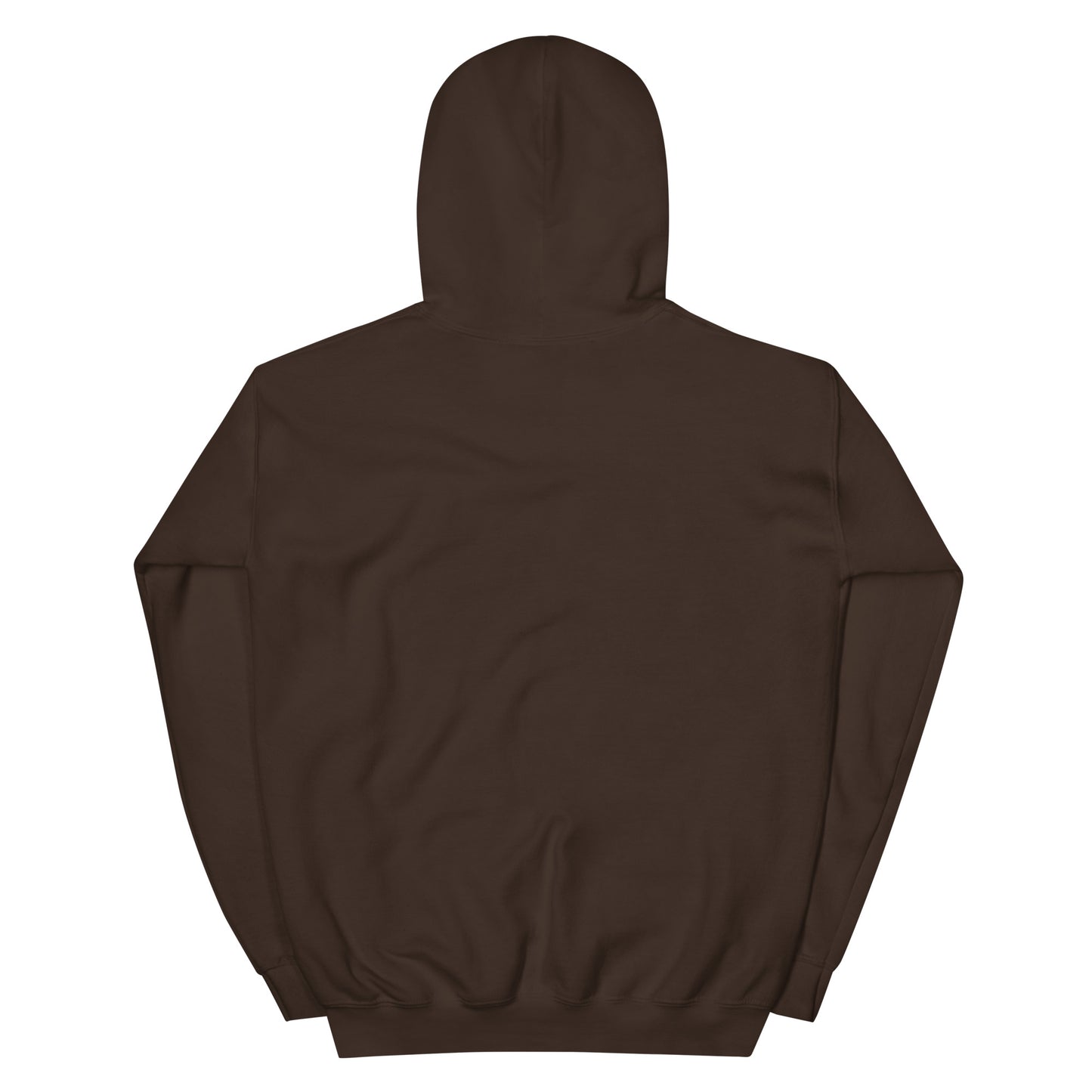 Embroidered "I put down my book to be here" Unisex Hoodie