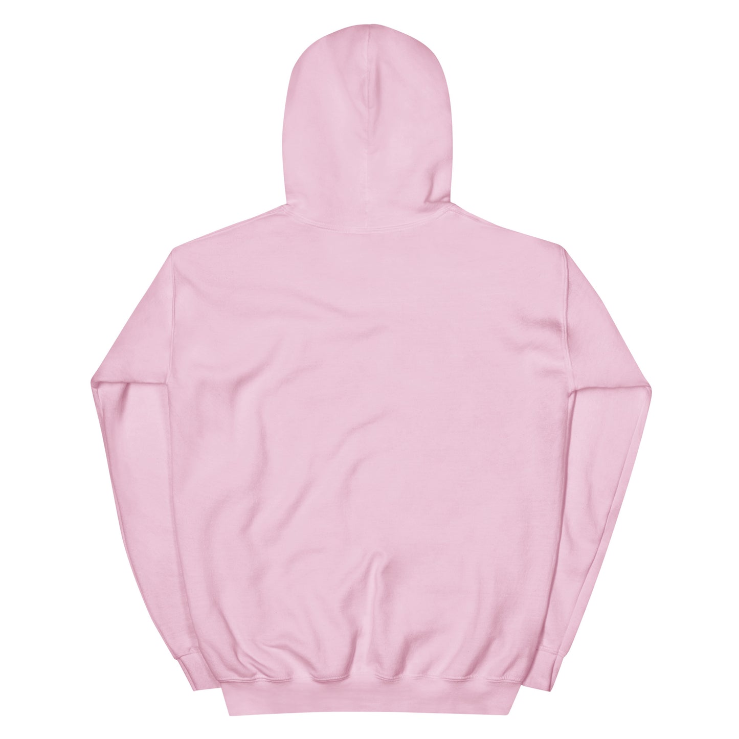 Embroidered "I put down my book to be here" Unisex Hoodie