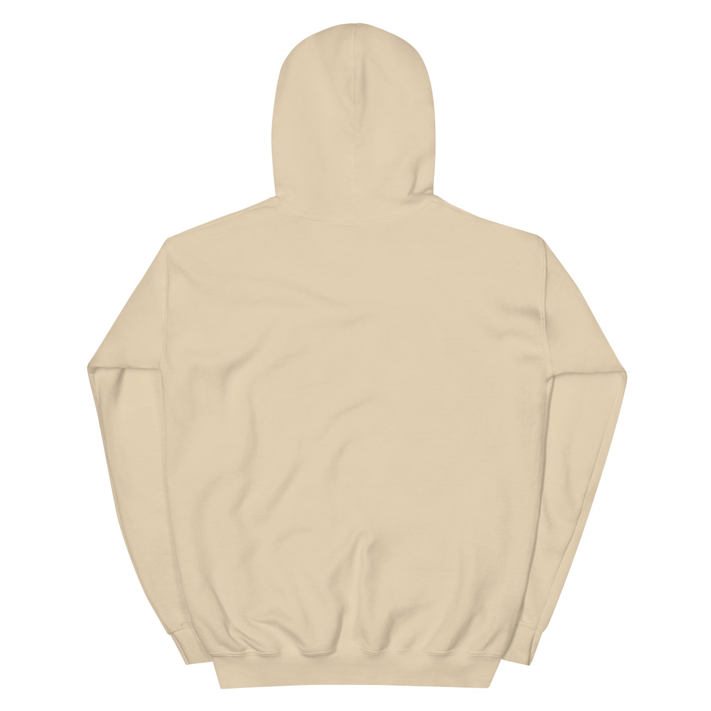 Embroidered "I put down my book to be here" Unisex Hoodie